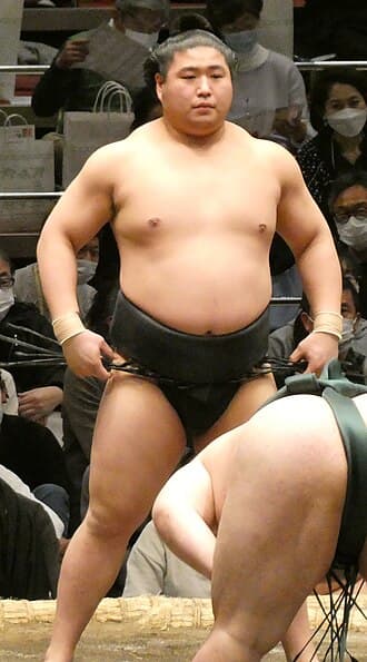 Portrait of Wakamotoharu