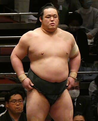 Portrait of Tochikodai