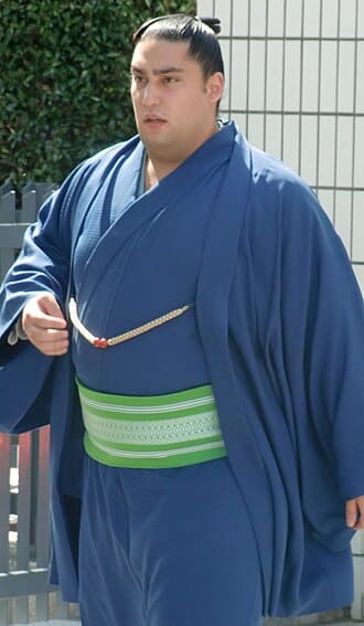 Portrait of Kaishin