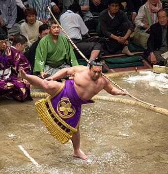 Portrait of Shohoryu