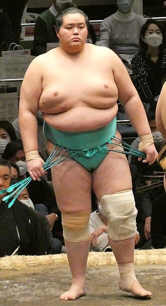 Photograph of Kotozakura, current leader.