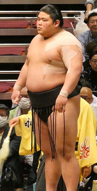 Portrait of Hakunofuji