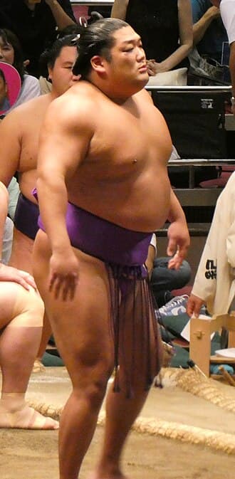 Portrait of Takerufuji