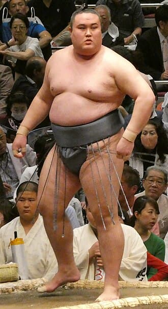 Portrait of Kinbozan