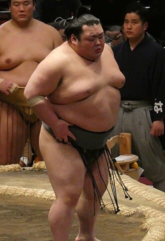 Portrait of Bushozan