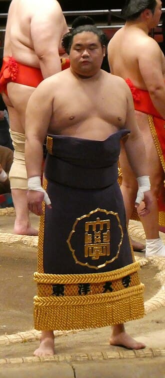 Portrait of Tohakuryu