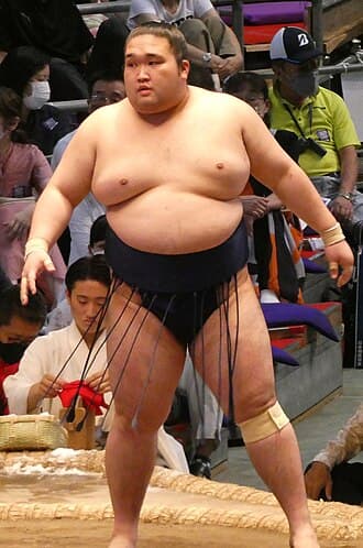 Portrait of Gonoyama