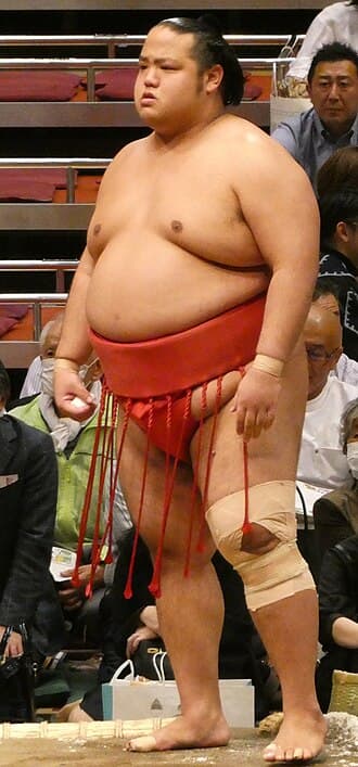 Portrait of Shimazuumi