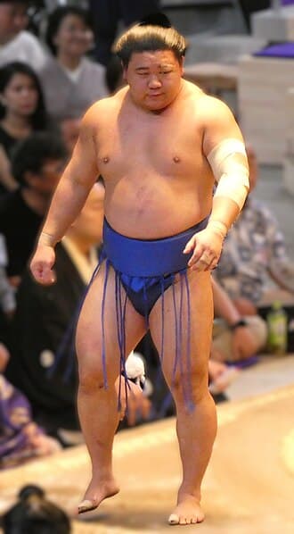 Portrait of Fujinokawa