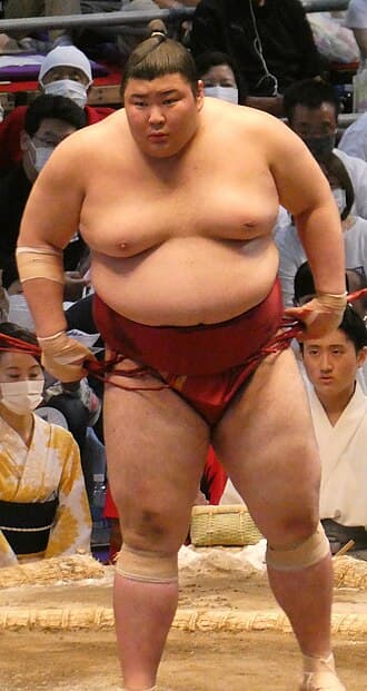 Portrait of Atamifuji