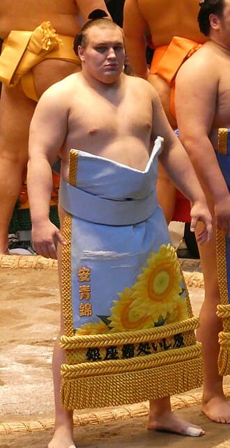 Photograph of Aonishiki, makuuchi yūshō winner.