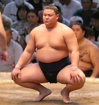 Portrait of Yoshinofuji