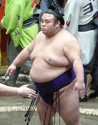 Portrait of Sato